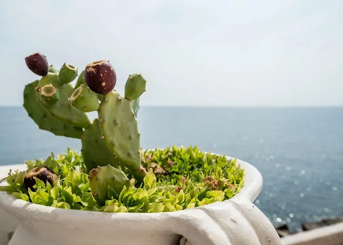 Casa Maredentro Bed & Breakfast Monopoli