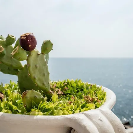 Casa Maredentro Bed & Breakfast Monopoli